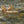 Crawl wooden ship | Trout boat kit