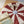 Kids Concept Spielmatte Zirkus | Rot