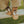 Donsje Babyschuhe 