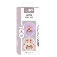 BIBS Studio Colour Ladybug 2 PACK Schnuller 0-6 Monate Violet Sky Mix