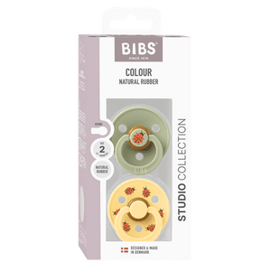 BIBS Studio Colour Ladybug 2er-Pack Schnuller aus Naturlatex für Babys 6-12 Monate, BPA-frei, weiches Nippelgefühl, sanftes Schild-Design