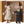 Maileg Hochzeitsmäuse-Paar | Mama und Papa in Box