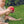 GRIMM'S Regenbogenball Nikistoff