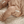 Saga Copenhagen Baby Strickschuhe - Bio-Baumwolle | Nude