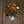 Grapat Mandala Snowflake Rainbow