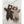 MarMar Copenhagen Combinaison Teddy « Robert » Terre