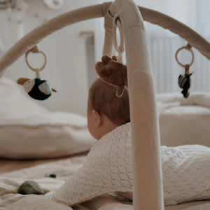 Sebra Spielbogen, Baby Gym | Wildlife