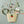 Rockahula Krallenclip (2er-Set) | Sweet Cherries