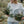 the Munio Mini Sojawachs Duftkerze -  Heather