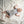 minimalisma Body Baumwolle 