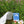 Parachute de traîne pour crawl - Kit