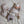 Cam Cam Pointelle Strick Babydecke | Off White