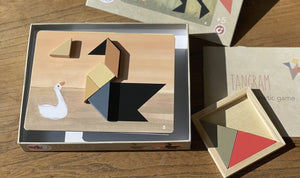 Egmont Toys Magnetspiel Tangram