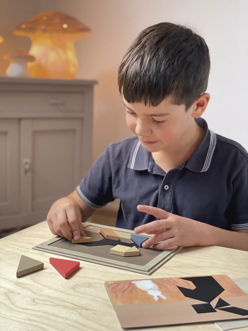 Egmont Toys Magnetspiel Tangram