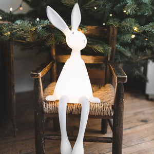 Lampe veilleuse Rose in April "Joseph" Lapin