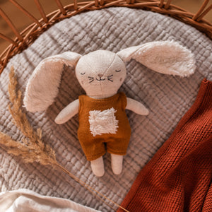 Ava & Yves Rasseln & Greiflinge "Hase mit Anzug" | Rost