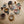 Mushie Kinderschüssel 2er Set Woodchuck