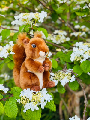 Teddy Hermann Plüschtier Eichhörnchen 17 cm