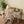 Ferm Living Cuisine de voyage Toro | Natural