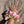 Rose in April Scrunchie « Chouchou » Caramel