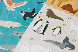Londji Poster Sticker-Set "Animal World"