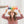 Grapat Regenbogen Set Schalen 24-teilig