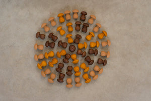 Grapat Mandala "Mushroom" 36-teilig