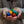 Grapat Rainbow Eggs – 36 bunte Eier