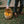 Grapat Mushroom Grove