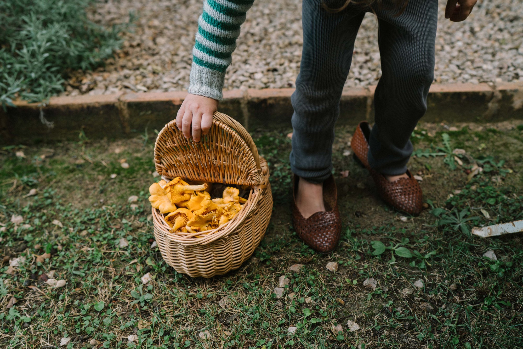 Grapat Mushroom Grove
