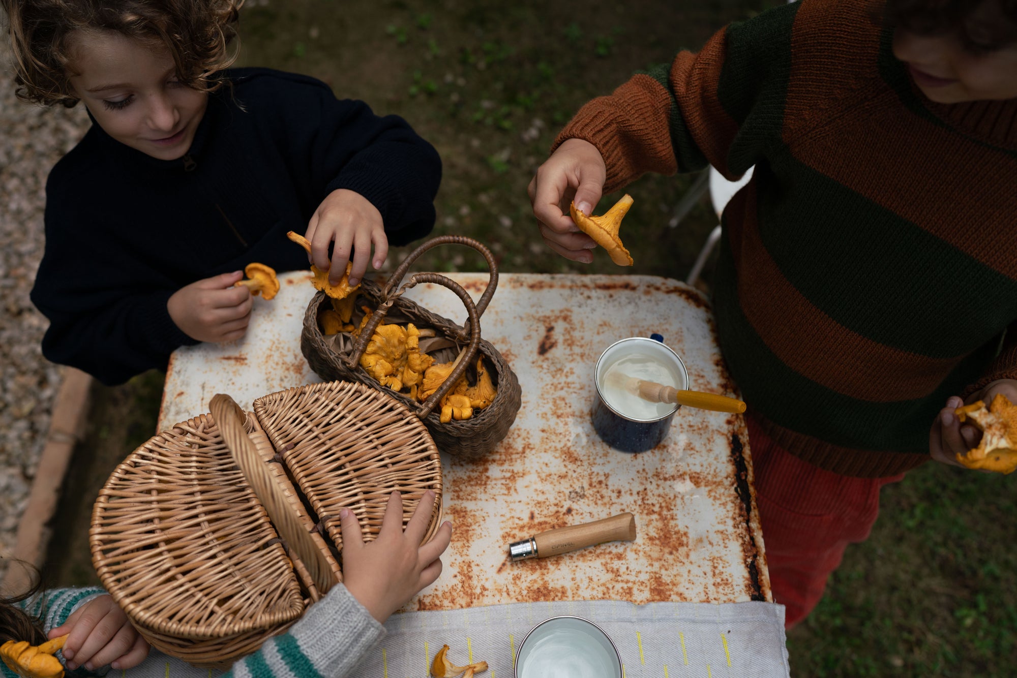 Grapat Mushroom Grove
