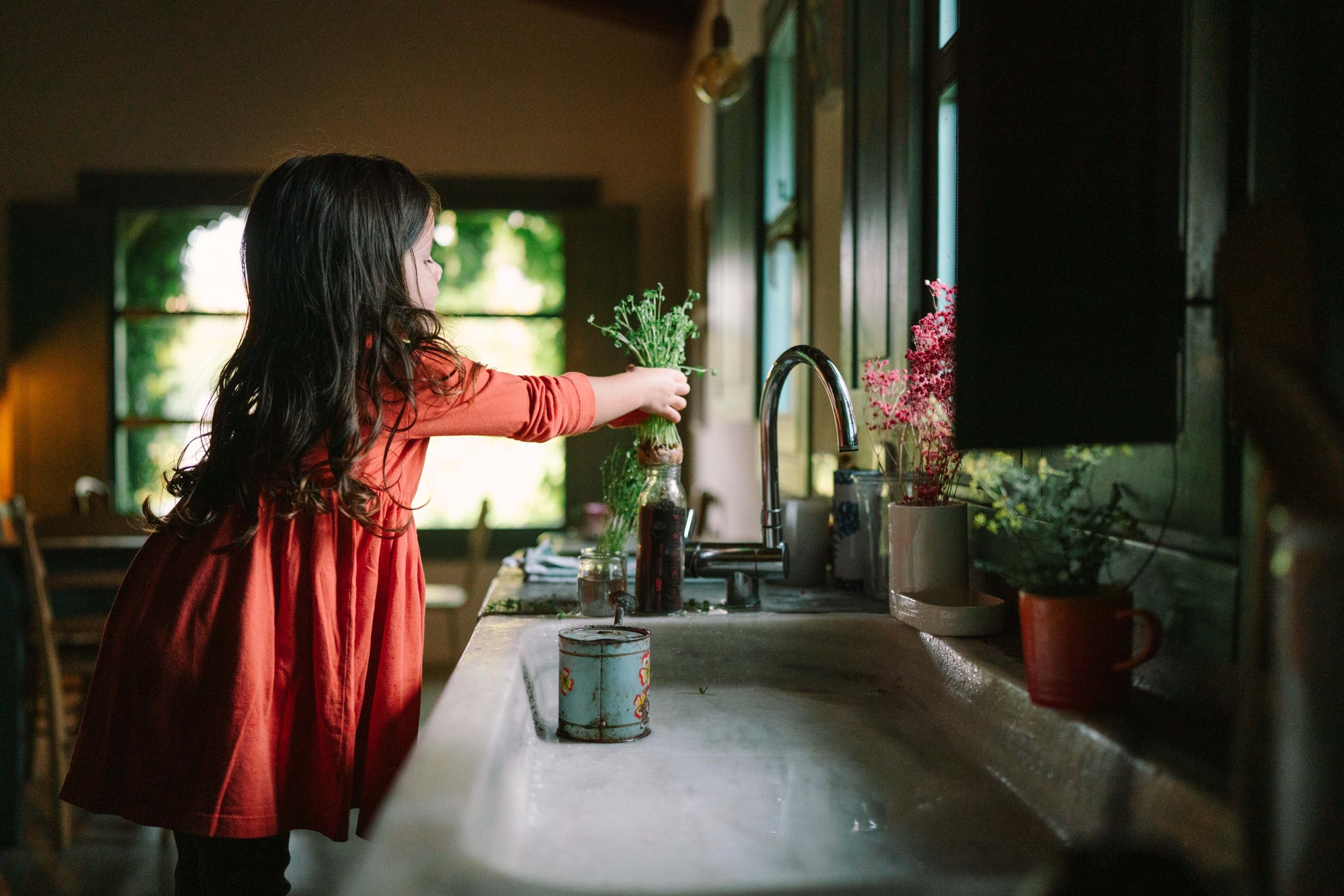 Grapat Flower Meadow