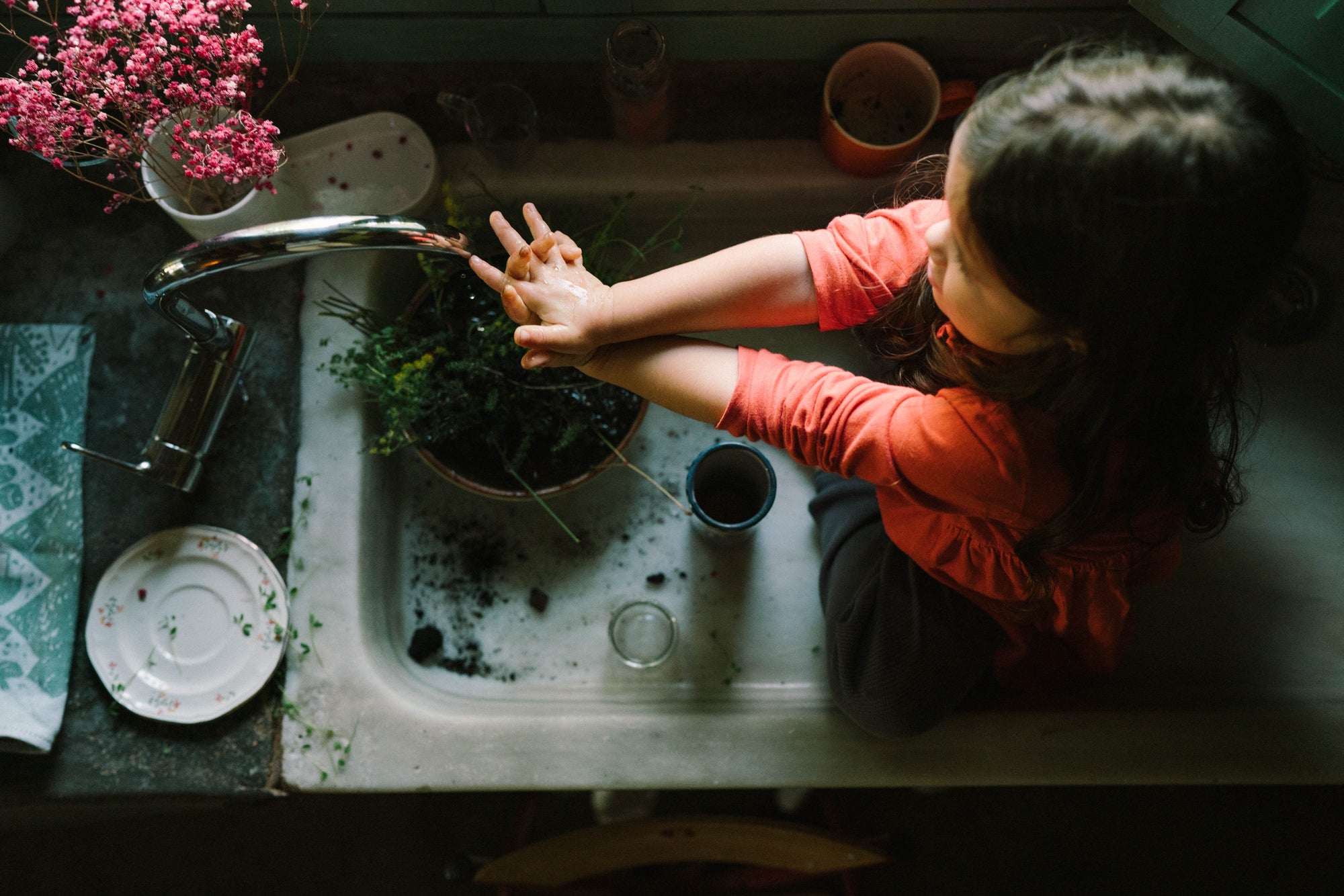 Grapat Flower Meadow