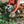 Grapat Holz Spielset 