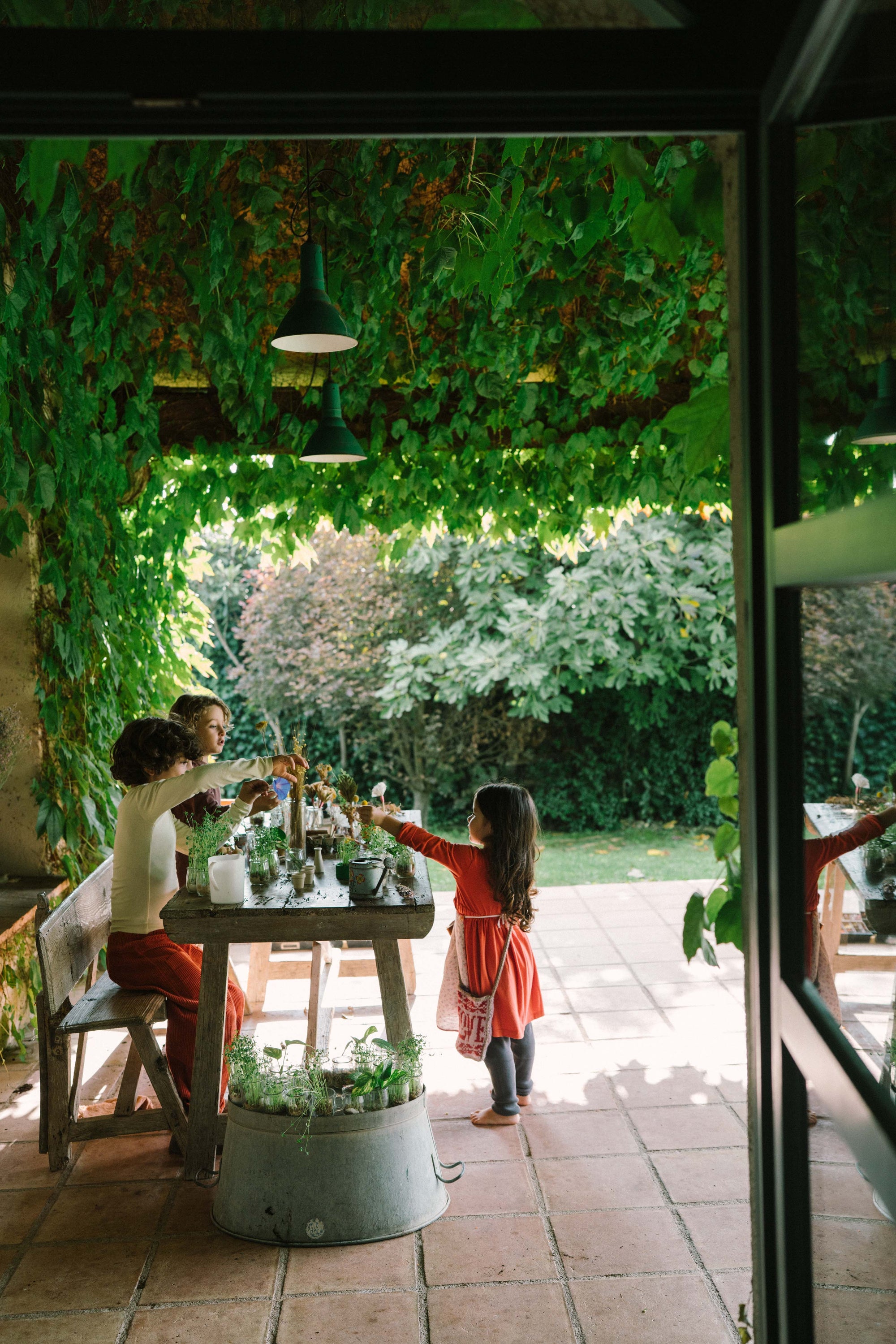 Grapat Flower Meadow