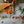 Grapat Veggies