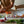 Grapat Veggies