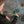 Mélange Mandala Froid Grapat