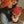 Hvid Kids Beanie 