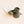 Hvid Babyschuhe Booties Merinowolle | Artichoke