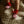 Hvid Babyschuhe Booties Merinowolle | Cotton candy/Red