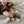 Hvid Babyschuhe Booties Merinowolle | Terracotta