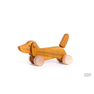 Bajo Dackel klein Natur