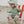 Cloby UV-Sonnenhut | Olive Green/Sandy Beach