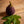 Muskhane Feutre Aubergine