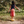 Stapelstein Balance Board | Yellow
