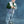 Liewood Fleecejacke 