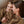 Liewood Jacke 