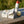 Liewood Trinkflasche 