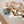 Langes Langes Langes Mulltücher 